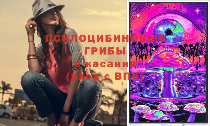 закладка  МЕГА как войти  Галлюциногенные грибы Cubensis  Нижняя Салда 